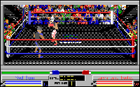 4D Sports Boxing