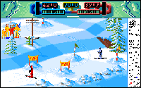 Advanced Ski Simulator