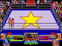 American Tag-team Wrestling