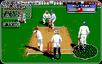 Brian Lara's Cricket '96