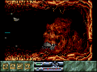 Carcharodon: White Sharks