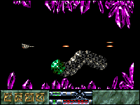 Carcharodon: White Sharks