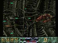 Carcharodon: White Sharks