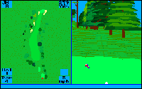 Championship Golf