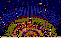 Circus Attractions
