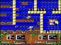 CJ's Elephant Antics