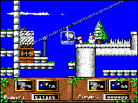 CJ's Elephant Antics