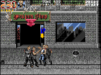 Double Dragon 3: The Rosetta Stone