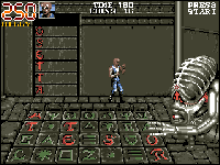 Double Dragon 3: The Rosetta Stone