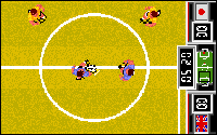 Fighting Soccer