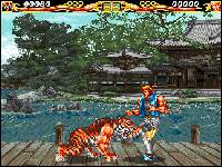 Fightin' Spirit