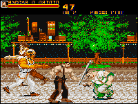 Final Fight