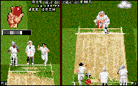 Ian Botham's Cricket