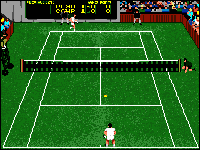 International Tennis