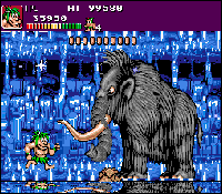 Joe and Mac Caveman Ninja