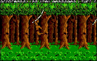 Jungle Boy