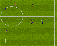 Manchester United: Premier League Champions