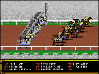 Omni-Play Horse Racing