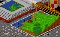 Populous 1