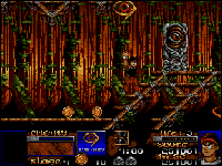 Risky Woods