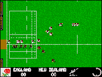 Rugby: The World Cup