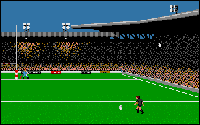 Rugby: The World Cup