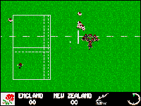 Rugby: The World Cup