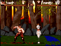 Shadow Fighter
