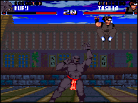 Shadow Fighter AGA