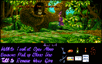 Simon the Sorcerer AGA