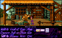 Simon the Sorcerer CD32