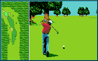 Tournament Golf