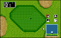 Tournament Golf