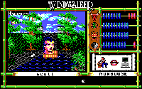 Windwalker