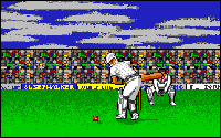World Cricket