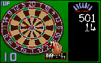 World Darts
