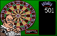 World Darts