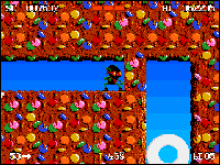 Zool finds hidden treasures