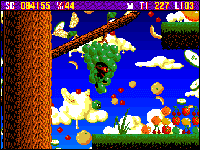 Zool 1 AGA